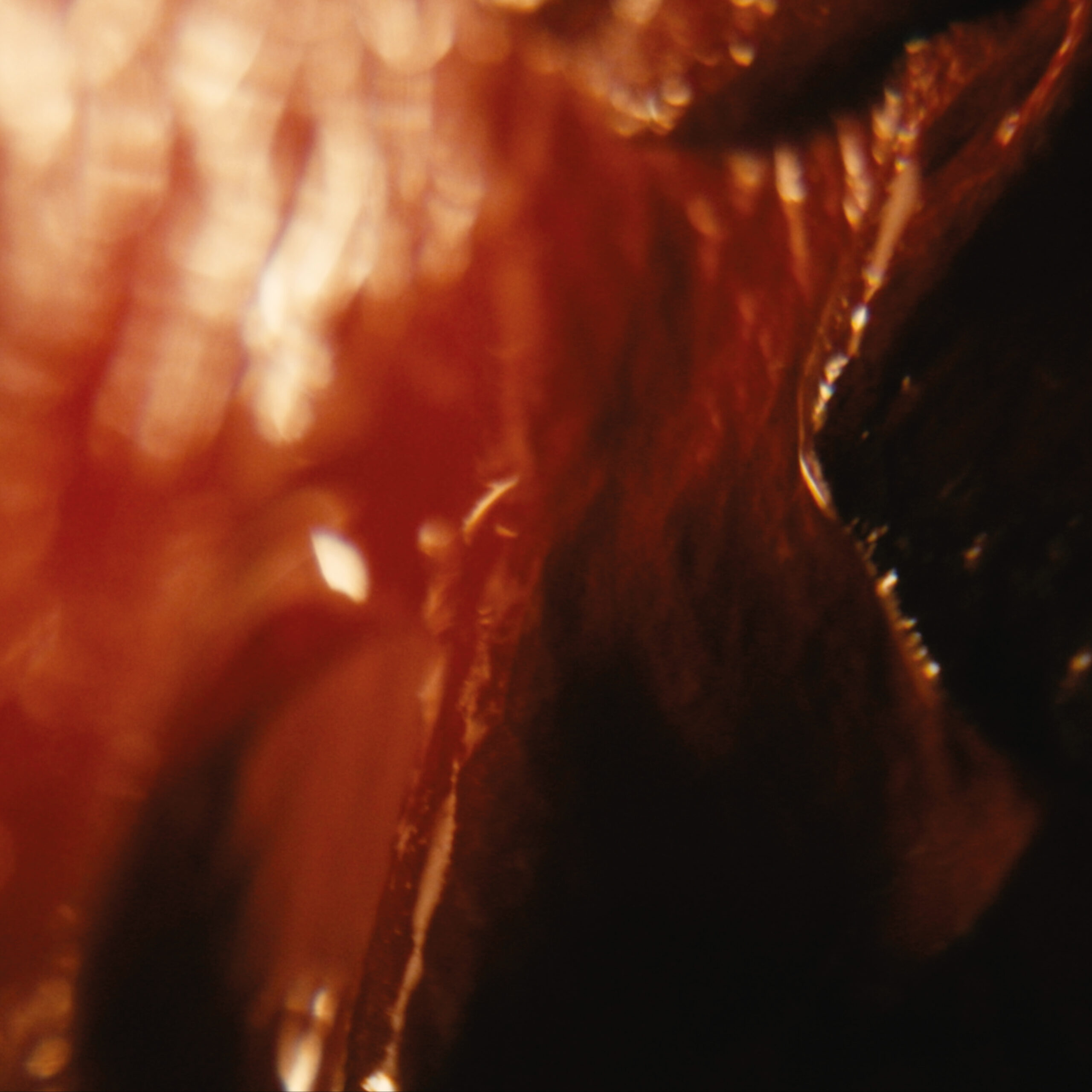 Stills-single01