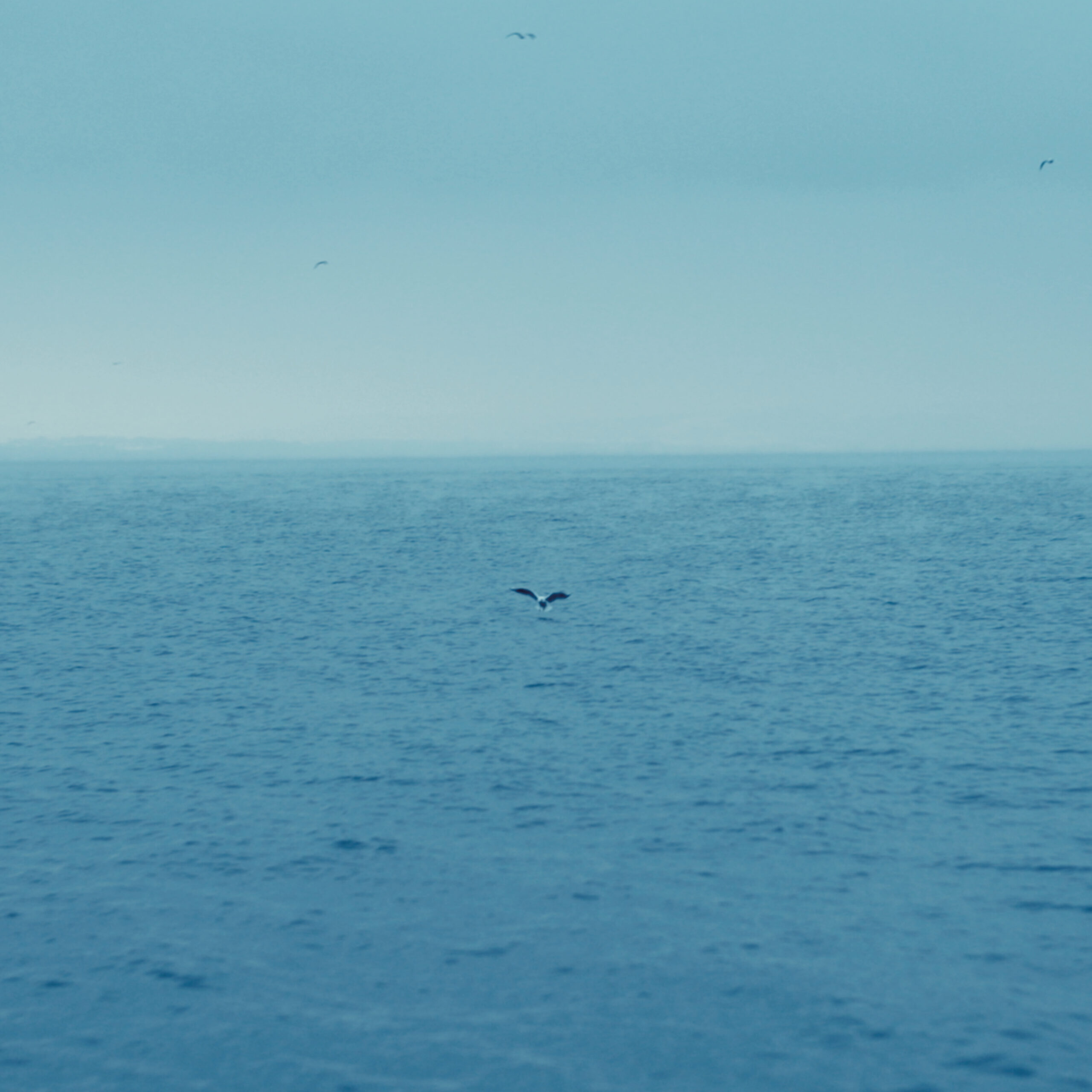 Stills-single02