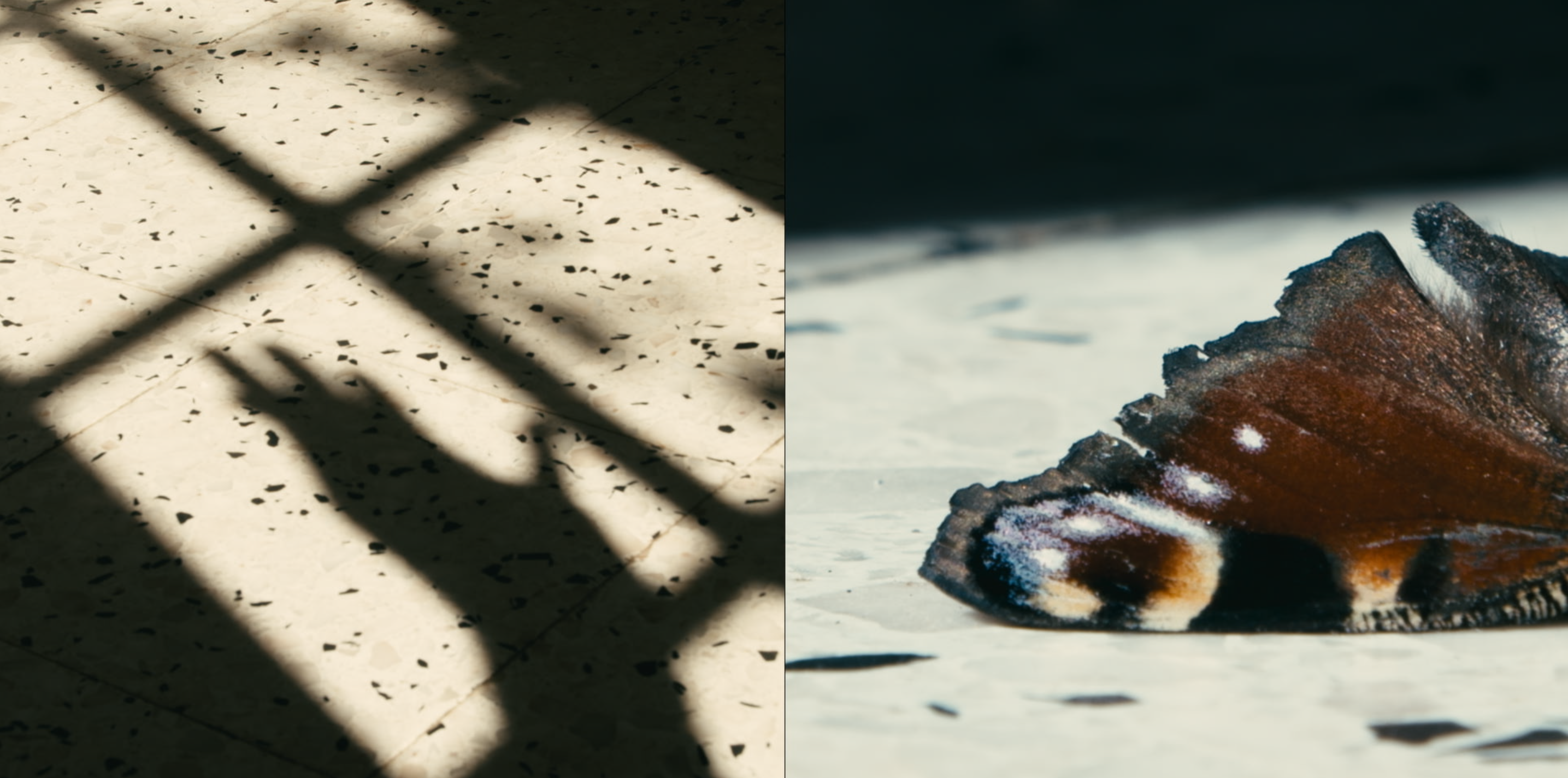 Stills03