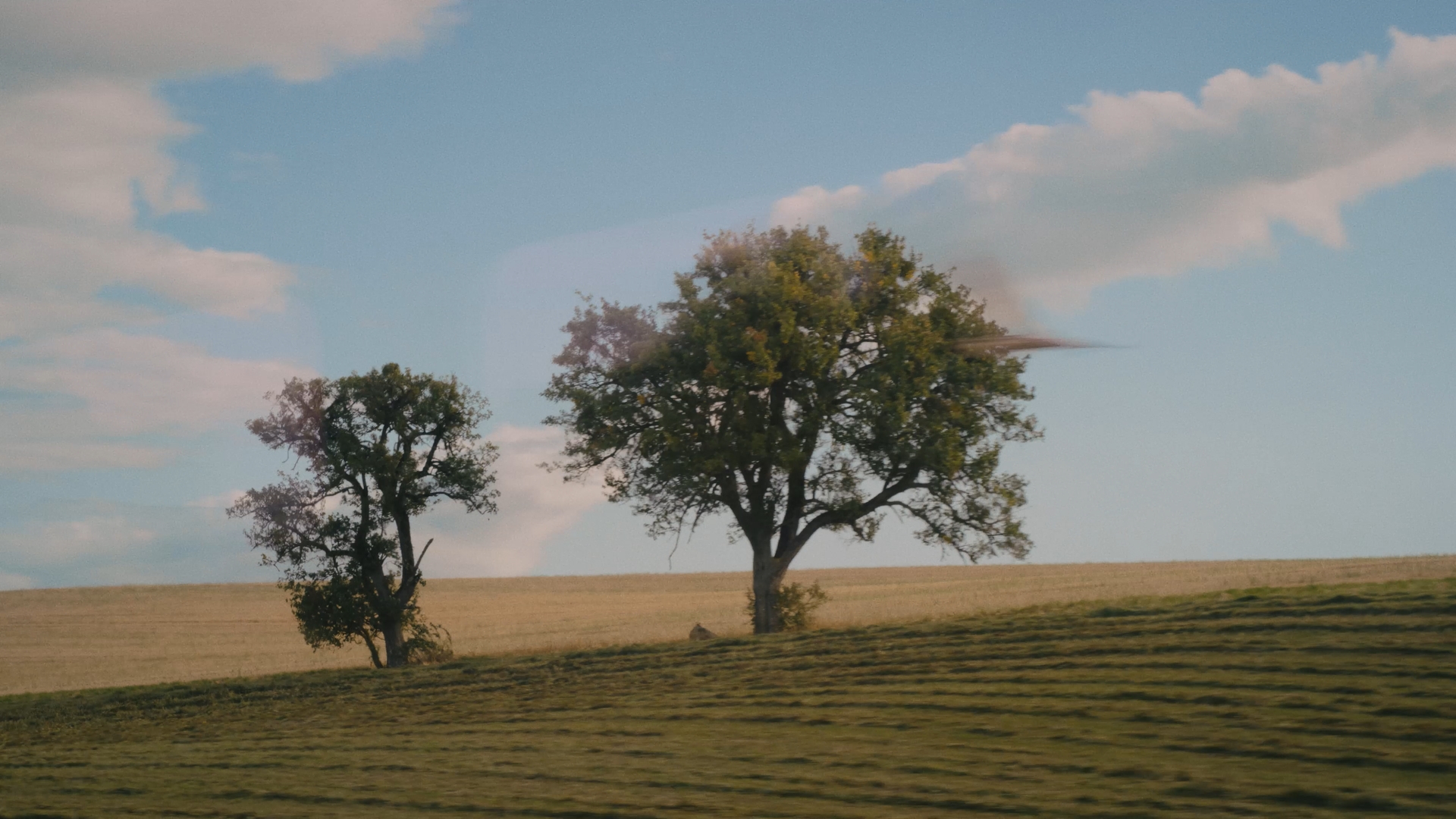 Mobilis Vaud @Bijotat Zoée